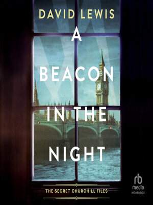 cover image of A Beacon in the Night
